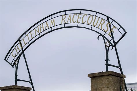 Bookies reveal top five most popular Cheltenham Festival picks.